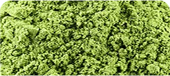 ORGANIC WHEAT GRASS POWDER